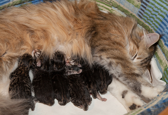 At Birth