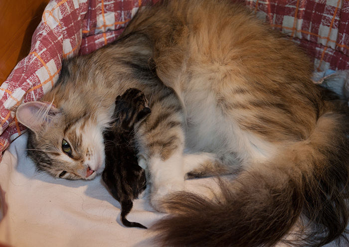At Birth