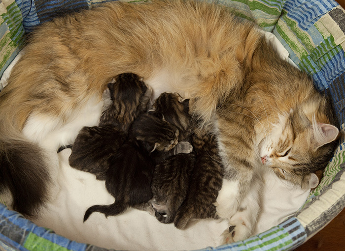 At Birth