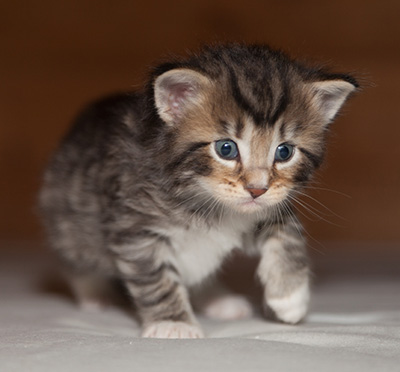 Jan-Anders - 3 weeks old