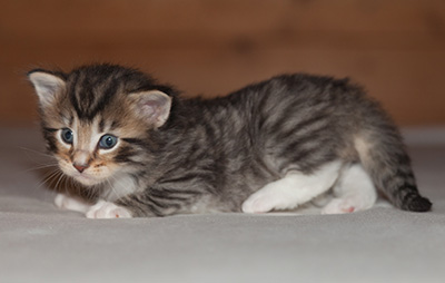Jan-Anders - 3 weeks old