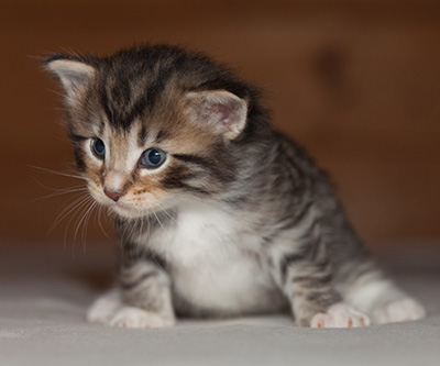 Jan-Anders - 3 weeks old