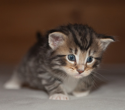 Jan-Anders - 3 weeks old