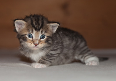 Jan-Anders - 3 weeks old