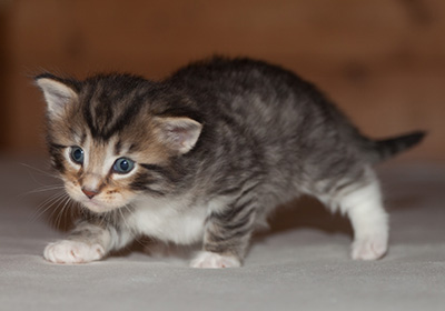Jan-Anders - 3 weeks old