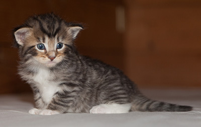 Jan-Anders - 3 weeks old