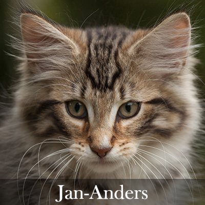 Jan-Anders