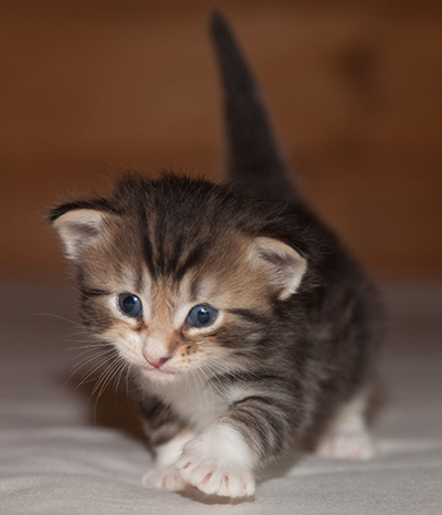 Jan-Henrik - 3 weeks old