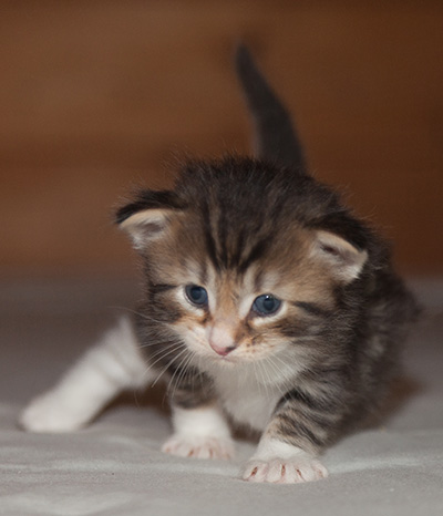 Jan-Henrik - 3 weeks old