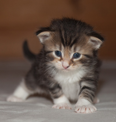 Jan-Henrik - 3 weeks old