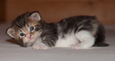 Jan-Henrik - 3 weeks old