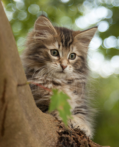 Jan-Lennart - 12 weeks old