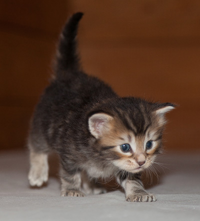 Jan-Lennart - 3 weeks old