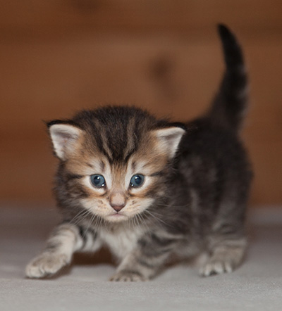 Jan-Lennart - 3 weeks old