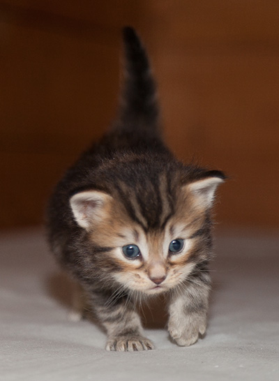 Jan-Lennart - 3 weeks old