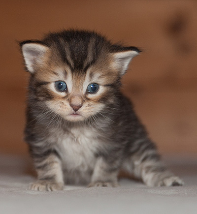 Jan-Lennart - 3 weeks old
