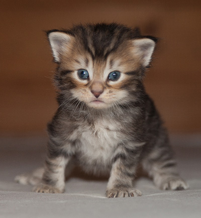 Jan-Lennart - 3 weeks old