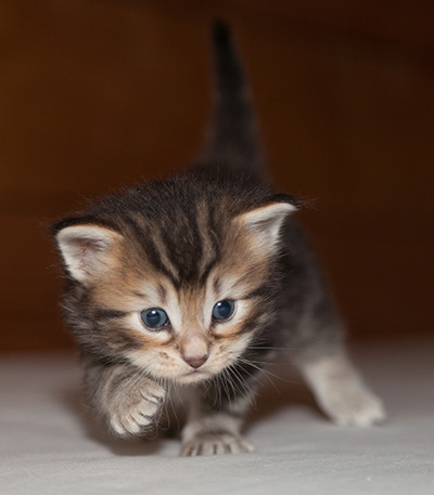 Jan-Lennart - 3 weeks old