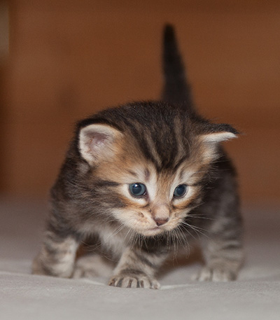 Jan-Lennart - 3 weeks old
