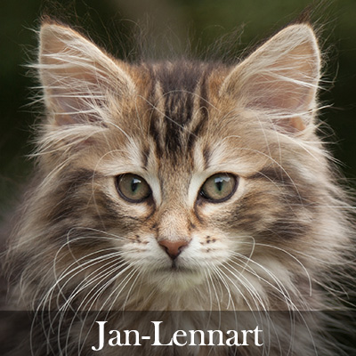 Jan-Lennart