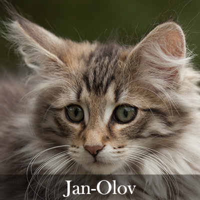 Jan-Olov