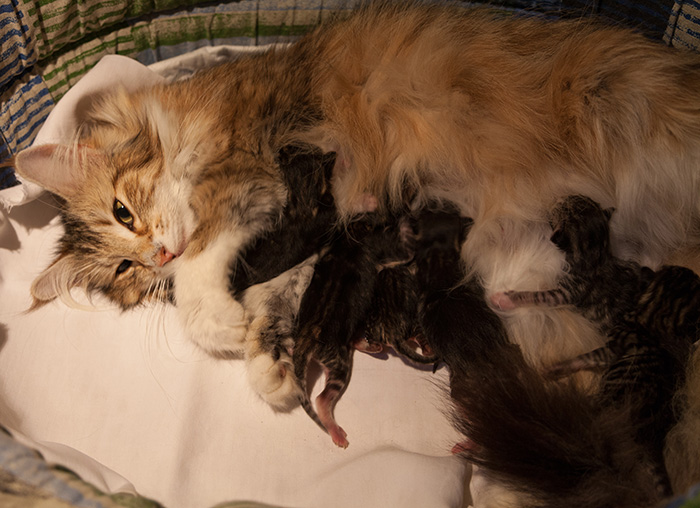 At Birth