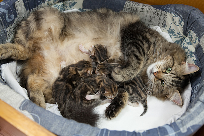 At Birth