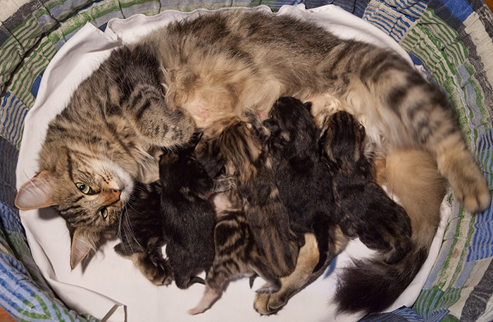 At Birth