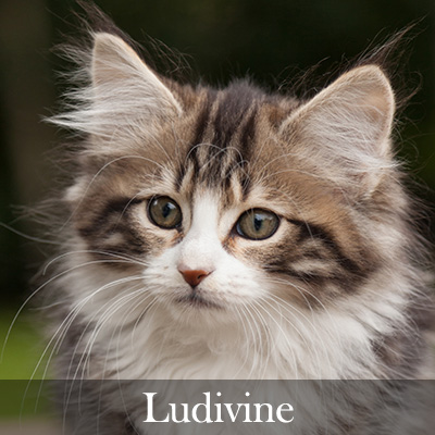 Ludivine