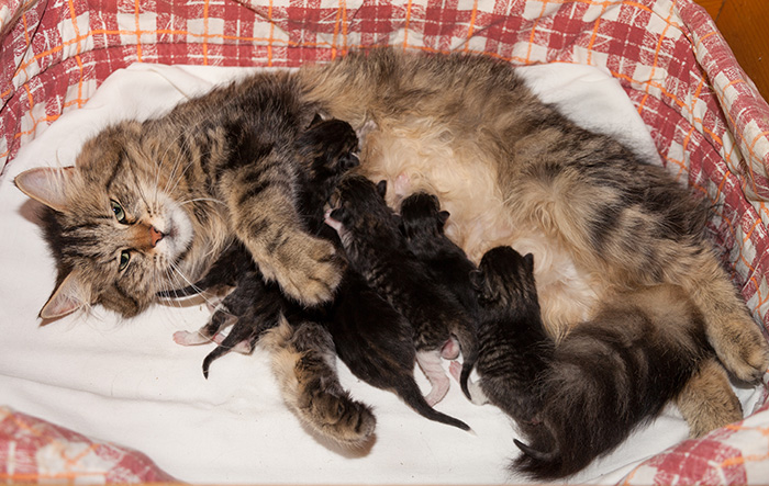 At Birth