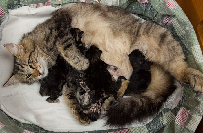 At Birth