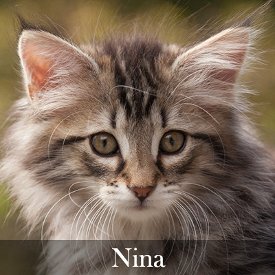 Nina