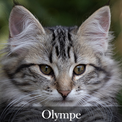 Olympe