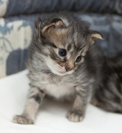Norah - 3 weeks old