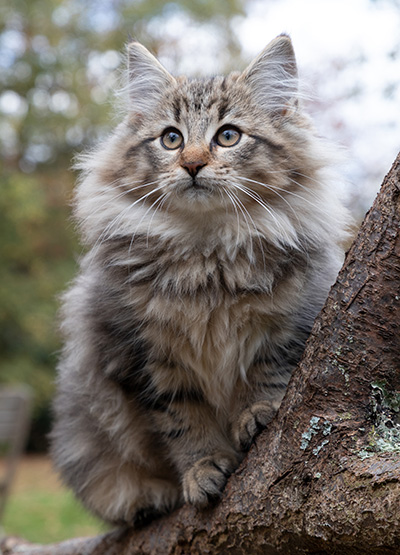 Olga - 13 weeks old