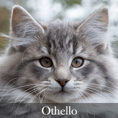 Othello