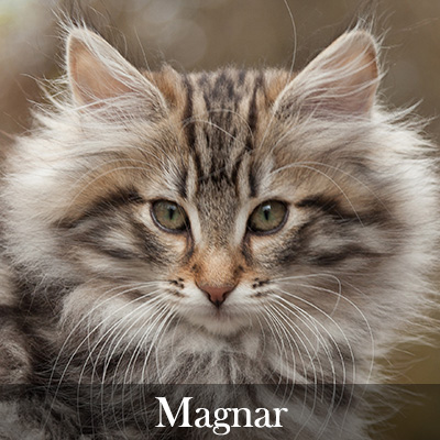 Magnar