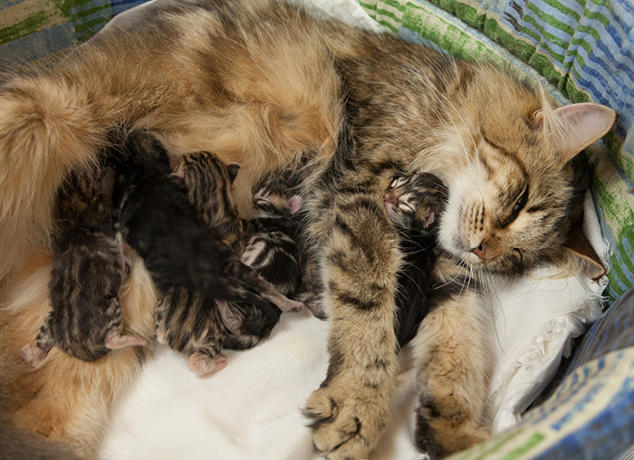 At Birth