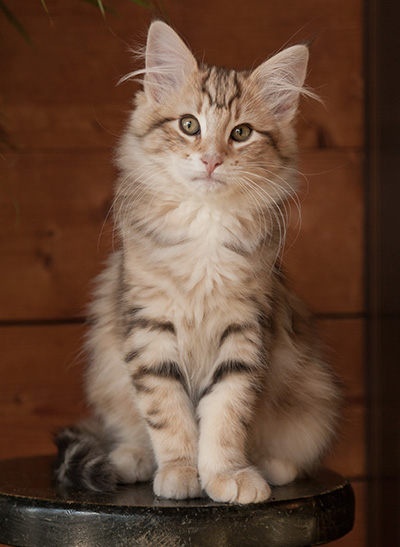 Jan-Elias - 12 weeks old