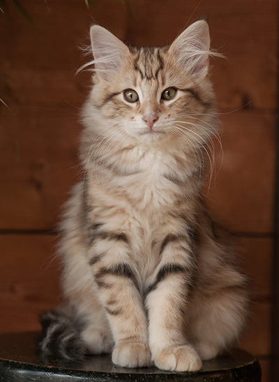 Jan-Elias - 12 weeks old