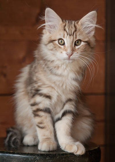 Jan-Elias - 12 weeks old