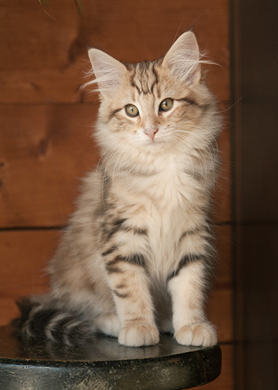 Jan-Elias - 12 weeks old
