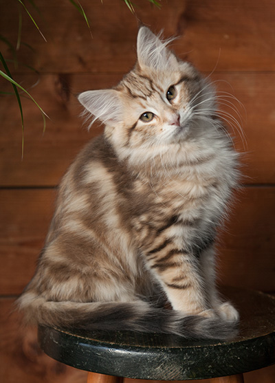 Jan-Elias - 12 weeks old