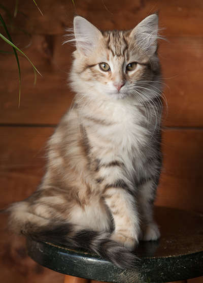 Jan-Elias - 12 weeks old