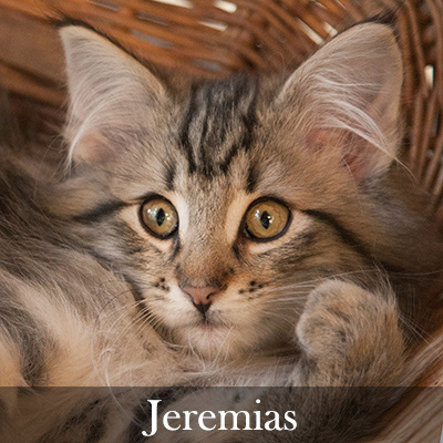 Jeremias