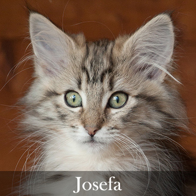 Josefa