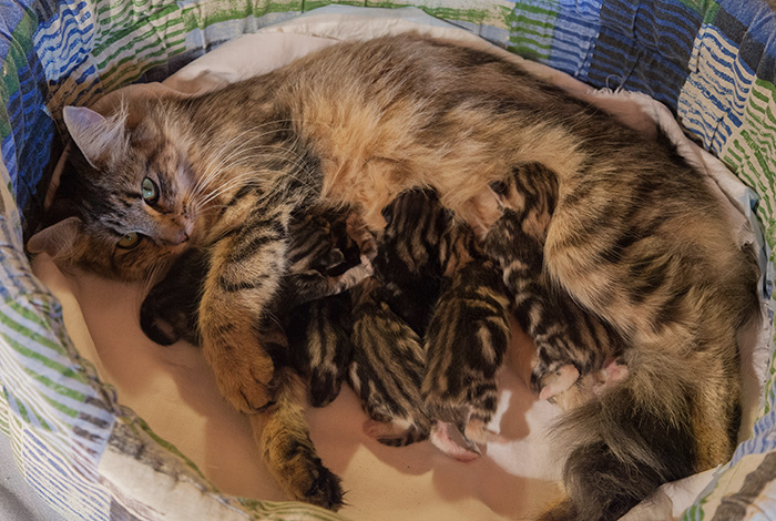 At Birth