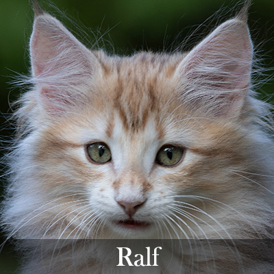 Ralf