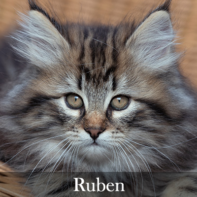 Ruben