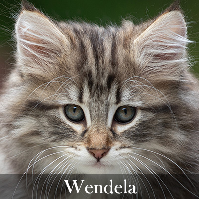 Wendela